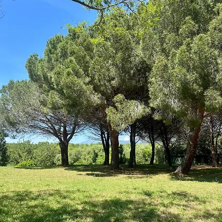 Saint-florent Apartment