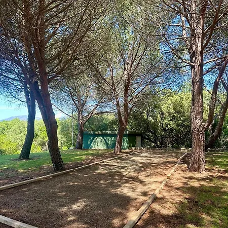 Saint-florent Apartment *